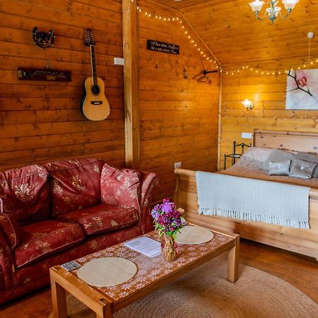 Blossom Cabin - Little Log Cabin In Wales Newtown  Esterno foto