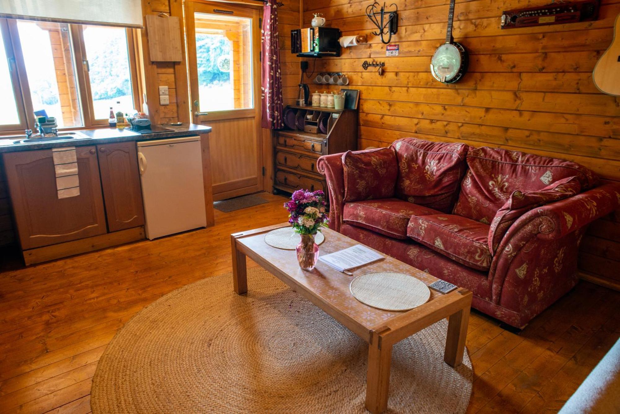 Blossom Cabin - Little Log Cabin In Wales Newtown  Esterno foto
