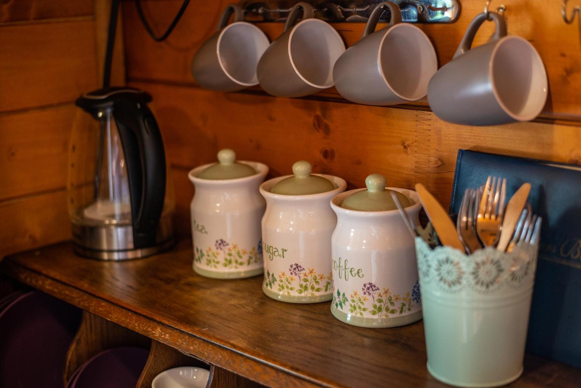Blossom Cabin - Little Log Cabin In Wales Newtown  Esterno foto