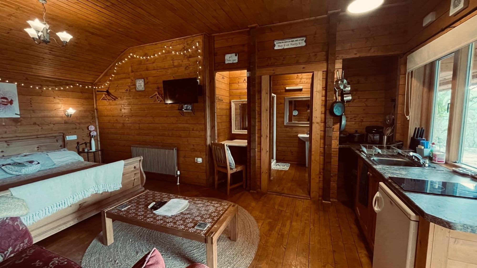 Blossom Cabin - Little Log Cabin In Wales Newtown  Esterno foto